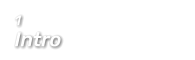 1  Intro